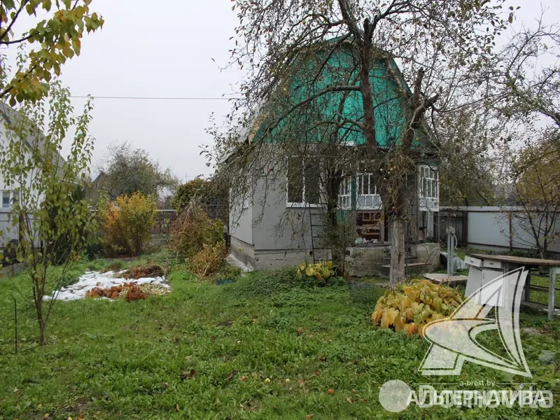 Продажа 2-этажной дачи в Строитель Брестская область, 61179BYN, код 180705 - фото 11