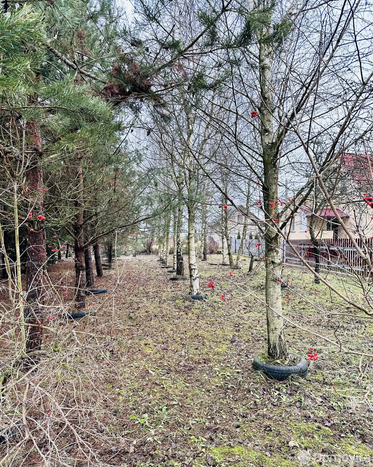 купить участок, НАША ДАЧА, д. 234