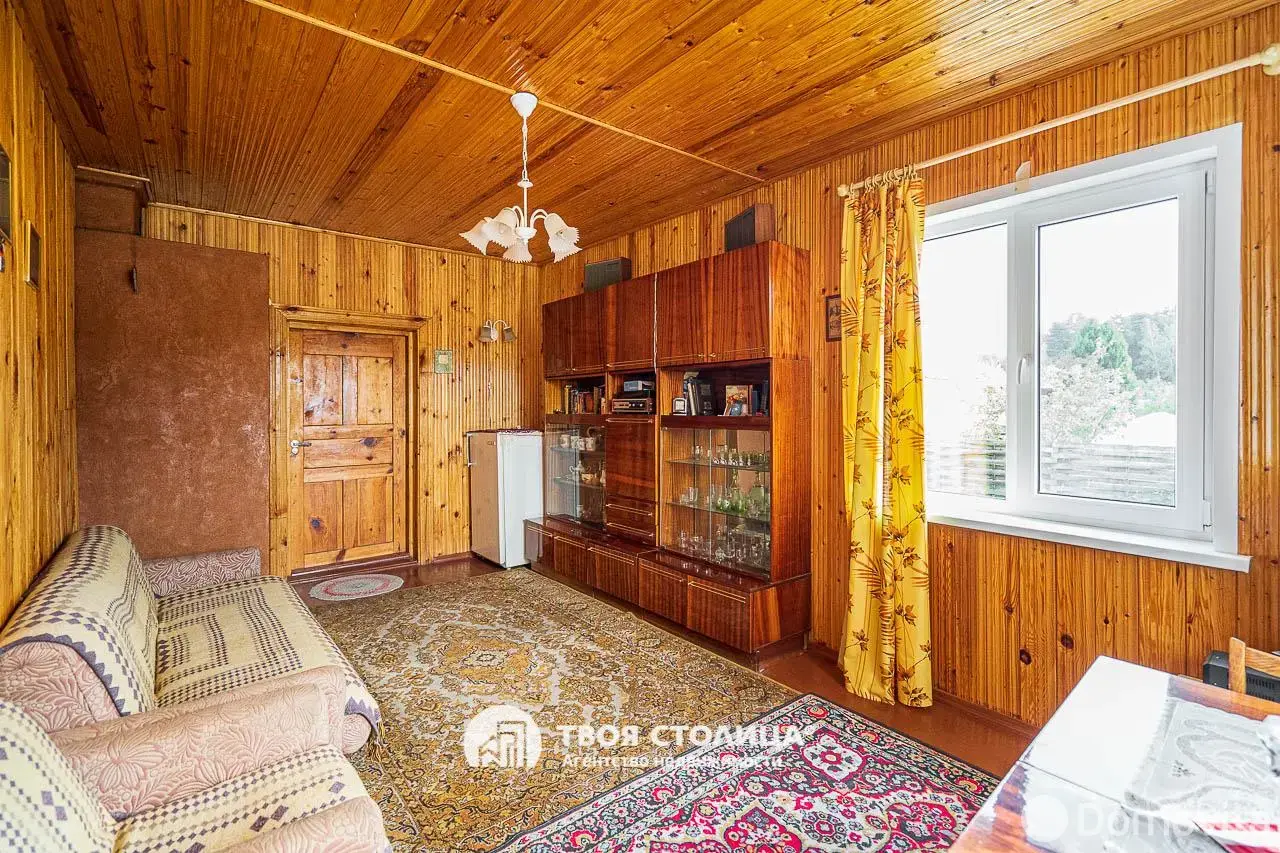 дача, Репортер,