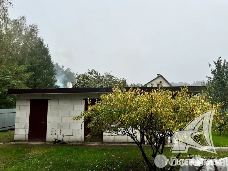 Купить 2-этажную дачу в Алеся-50 Брестская область, 65000USD, код 172224 - фото 27