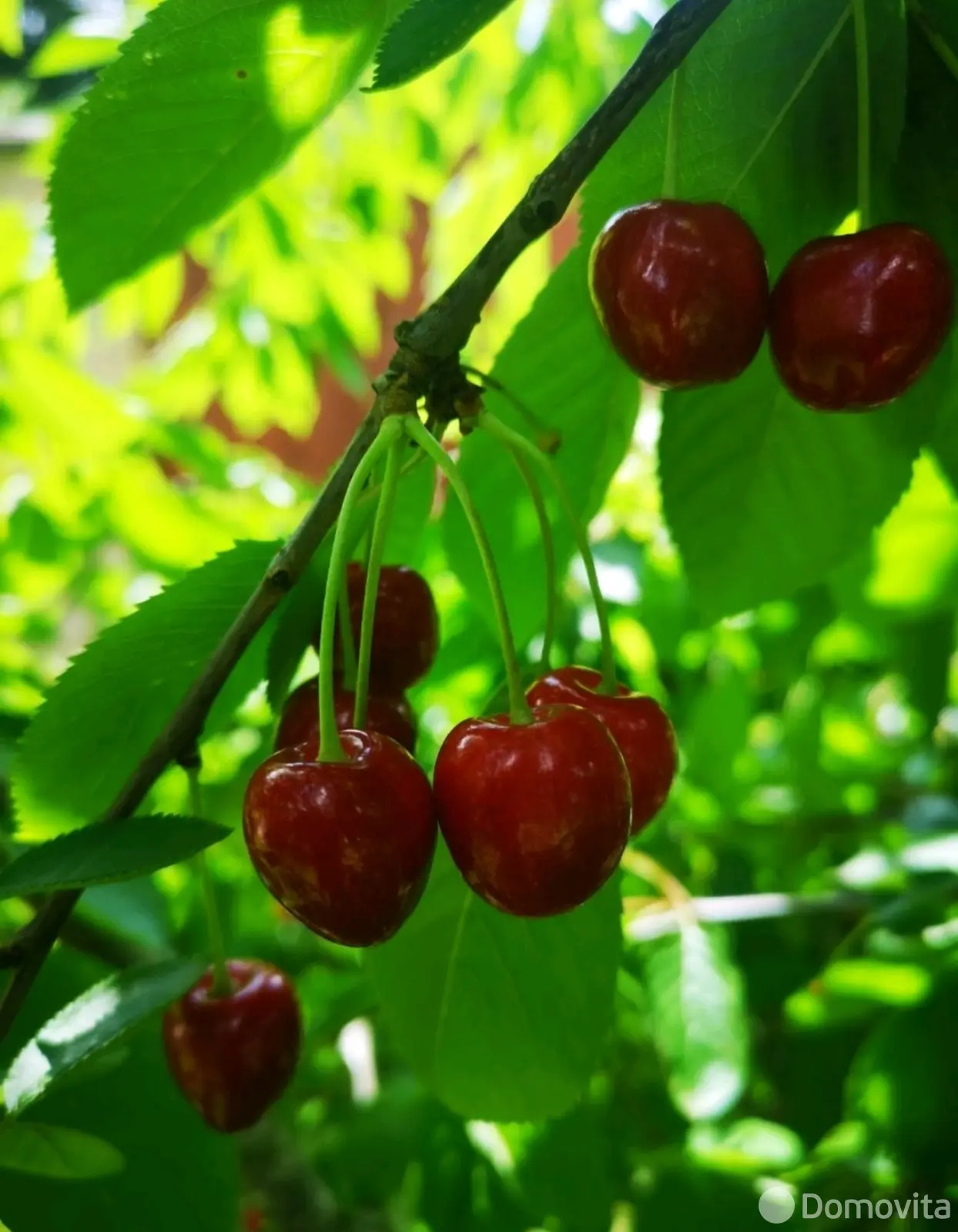 Снять 2-этажный коттедж в Боровлянах, Минская область, ул. Лесная, д. 26А, 1500USD, код 4823 - фото 19