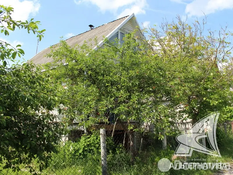 Продажа 2-этажной дачи в Зеленый бор Брестского района Брестская область, 45000USD, код 162193 - фото 28