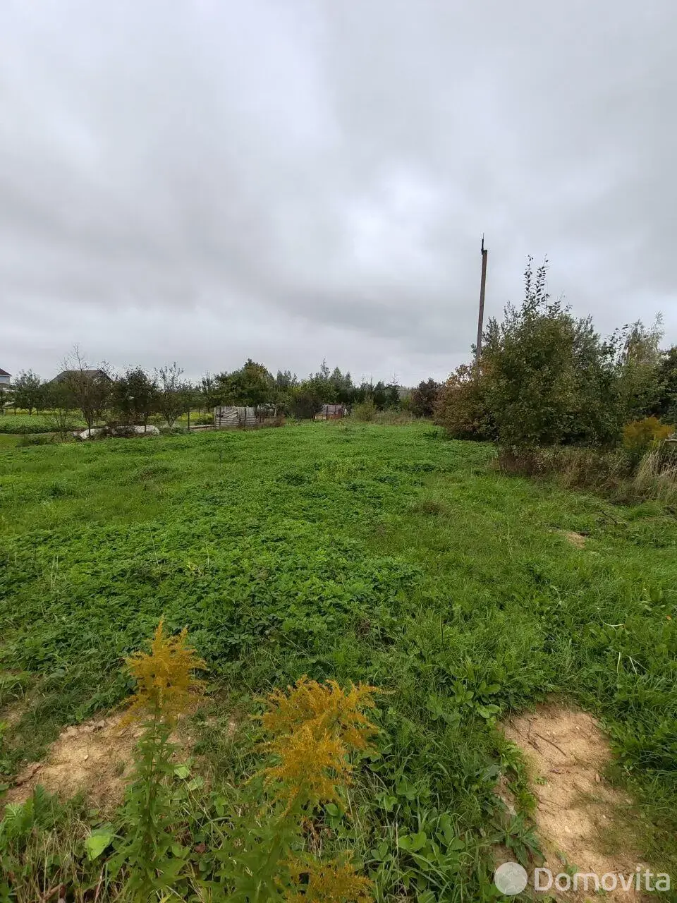 участок, Залесье, 