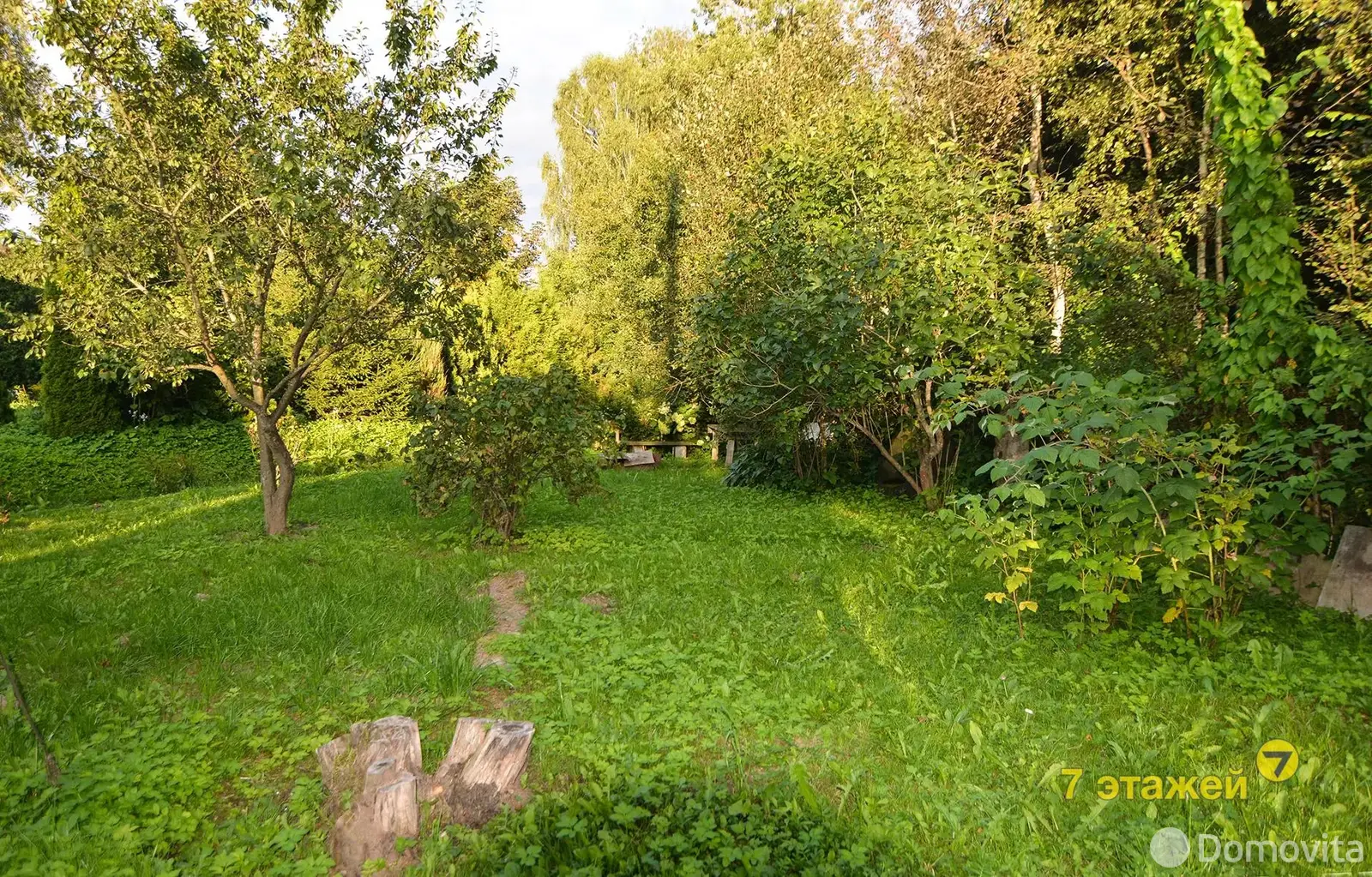 Купить 1-этажную дачу в Родник-Мелиоратор Минская область, 20000USD, код 183980 - фото 18