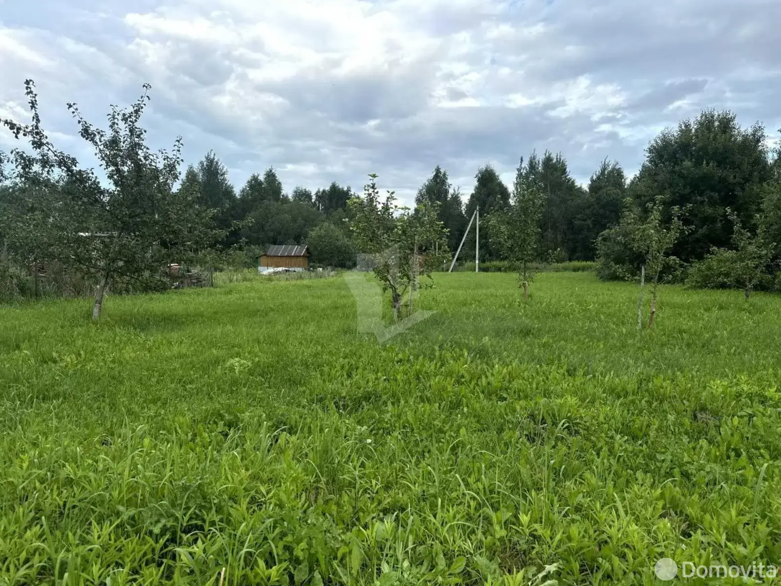 участок, Ромашка, 