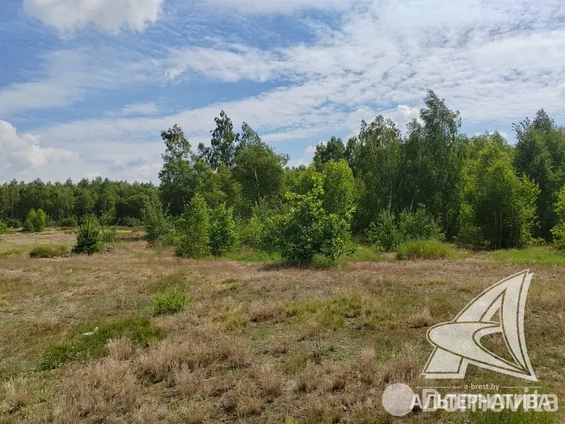 участок, Березка,