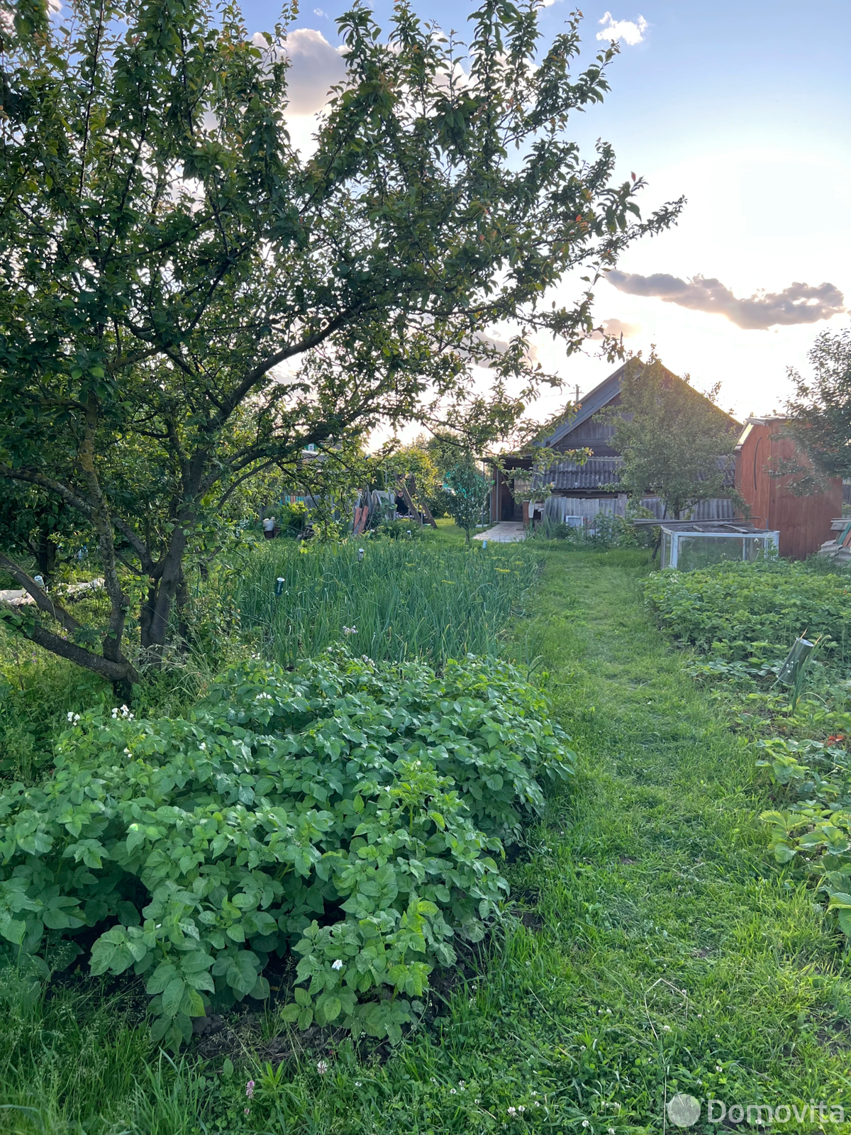 Продажа 1-этажной дачи в Преснаках Минская область, 13500USD, код 183548 - фото 13