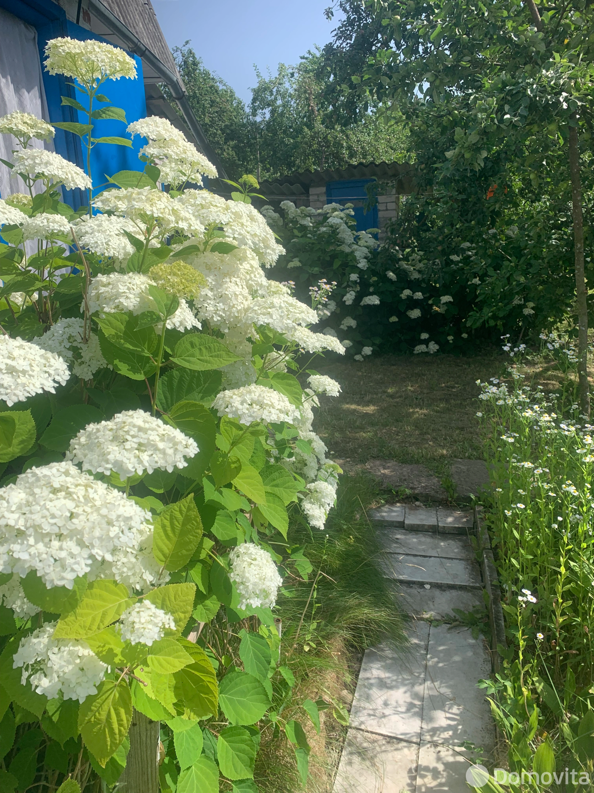 дача, Олехновичский сельсовет, , стоимость продажи 53 811 р.