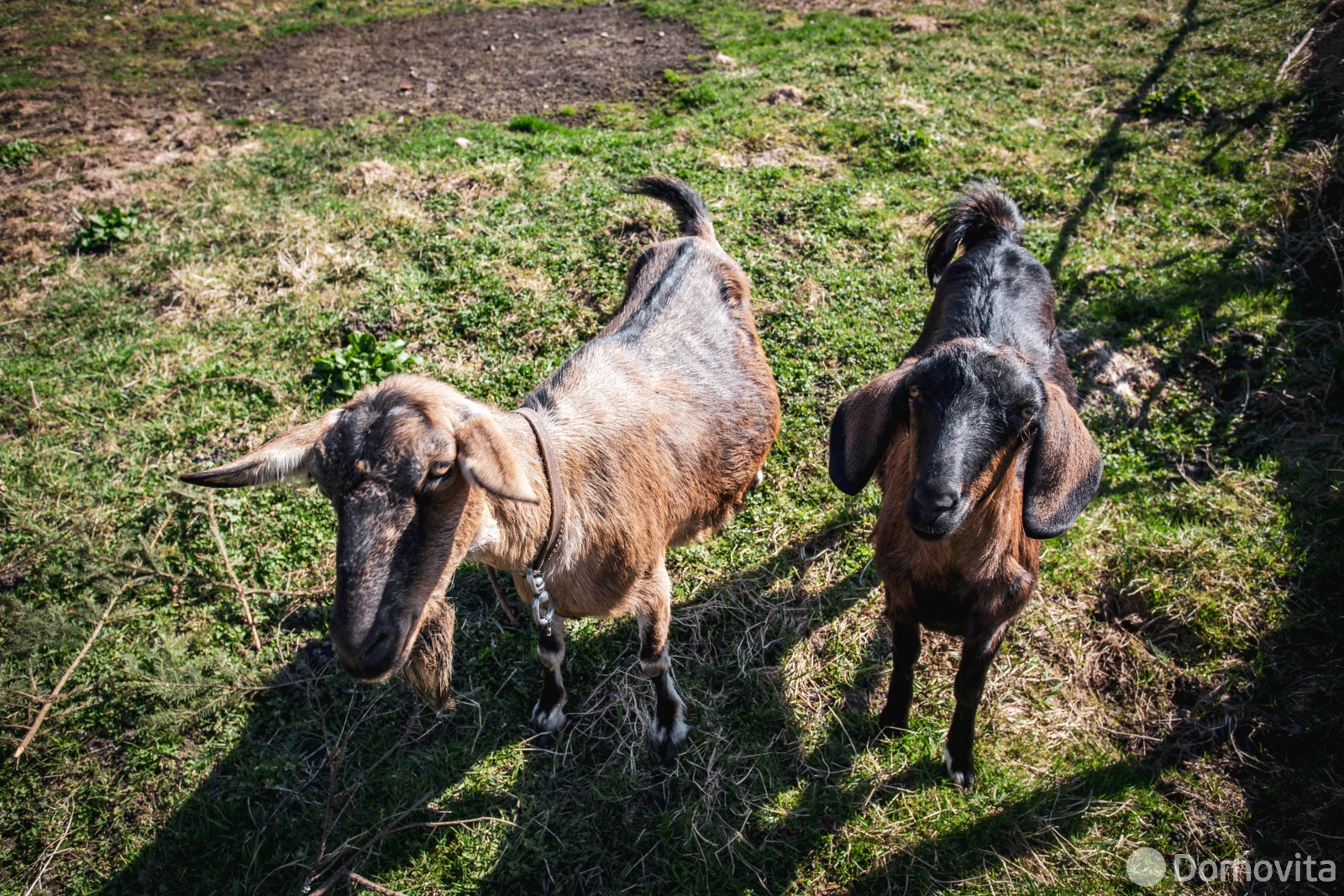 участок, Казеково, ул. Центральная 