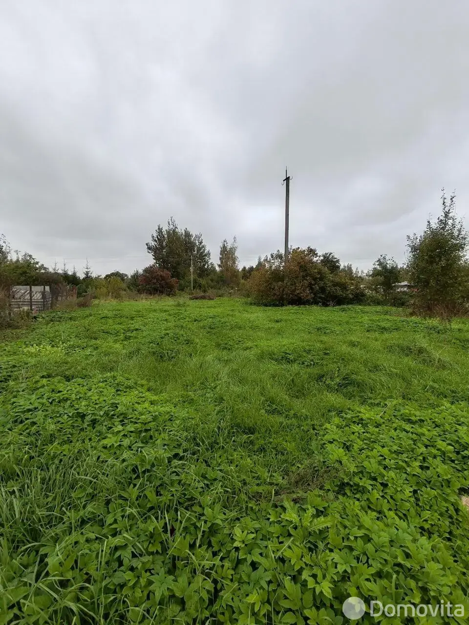 участок, Залесье, 