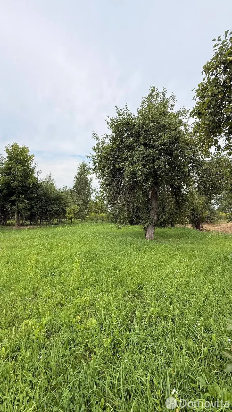 Цена продажи дома, Едлино, ул. Раздольная
