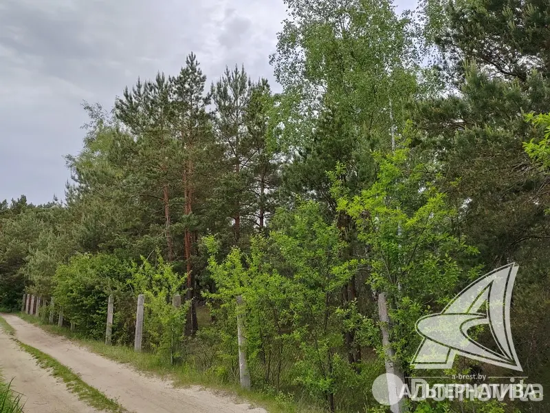 Продажа 2-этажной дачи в Жемчужина-1988 Брестская область, 88000BYN, код 185911 - фото 40