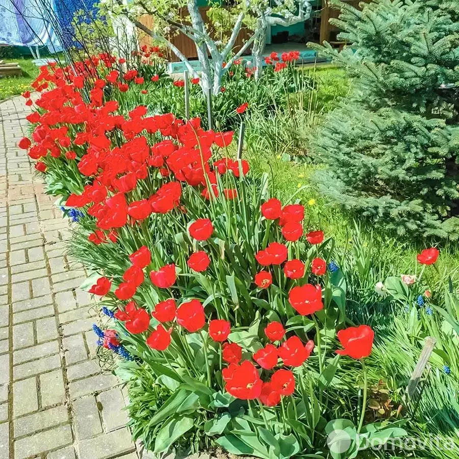 Продажа 1-этажной дачи в Дарьюшка Минская область, 42000USD, код 184390 - фото 22