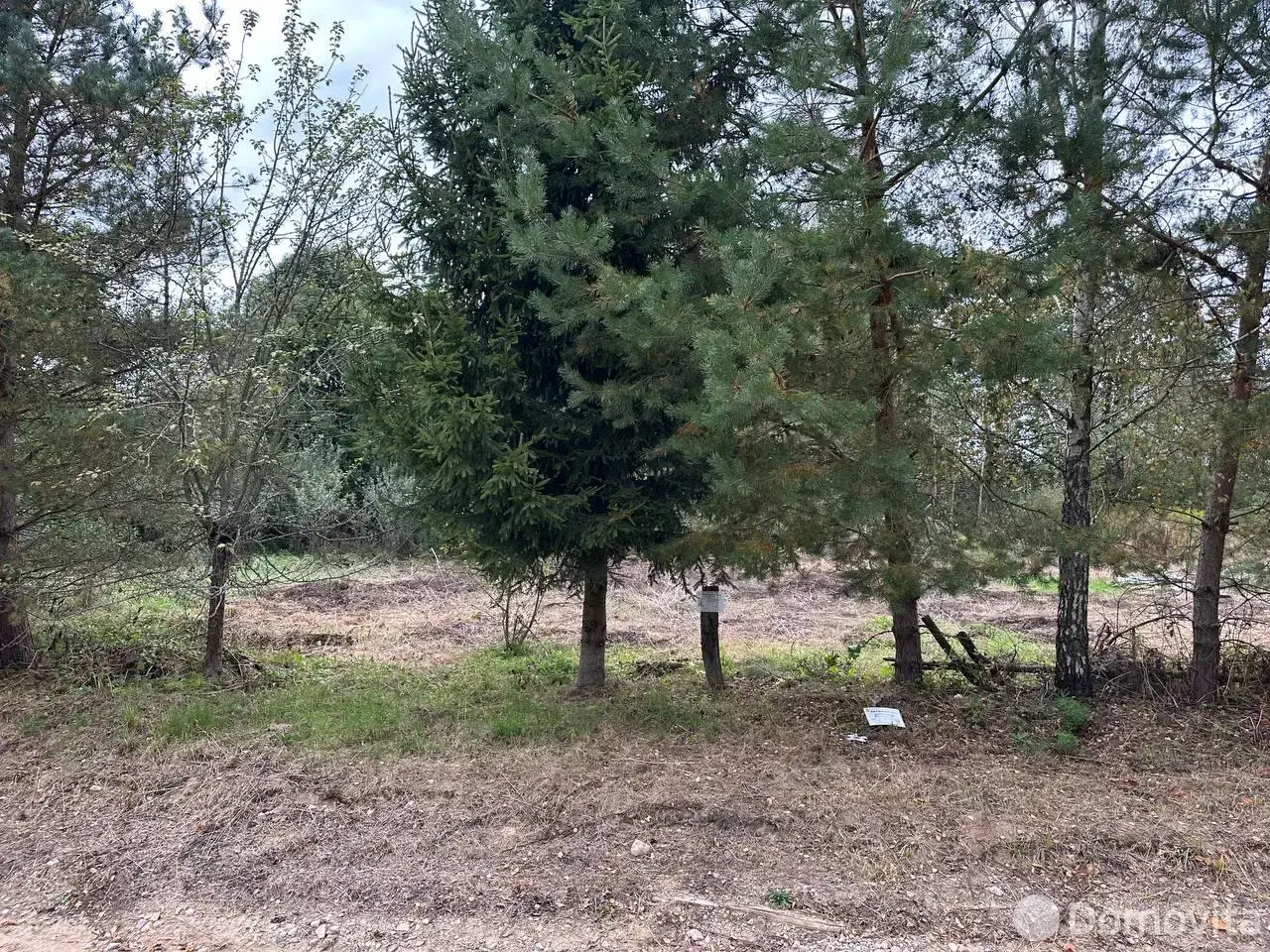 участок, Падеричи, 