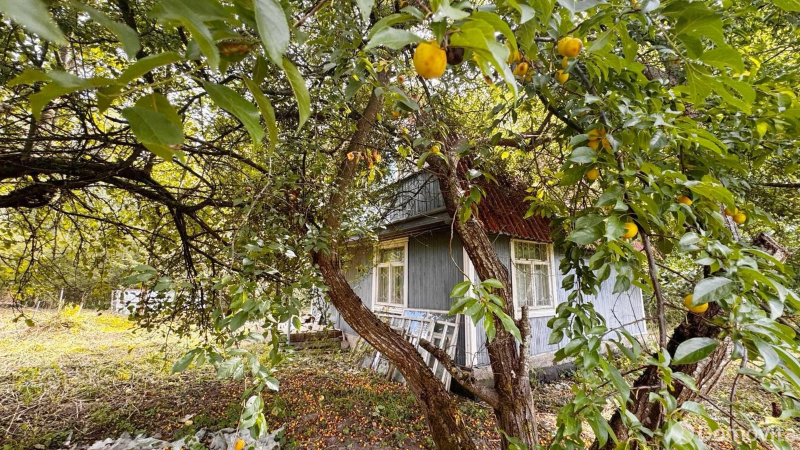 Стоимость продажи дачи, Плисянка, 