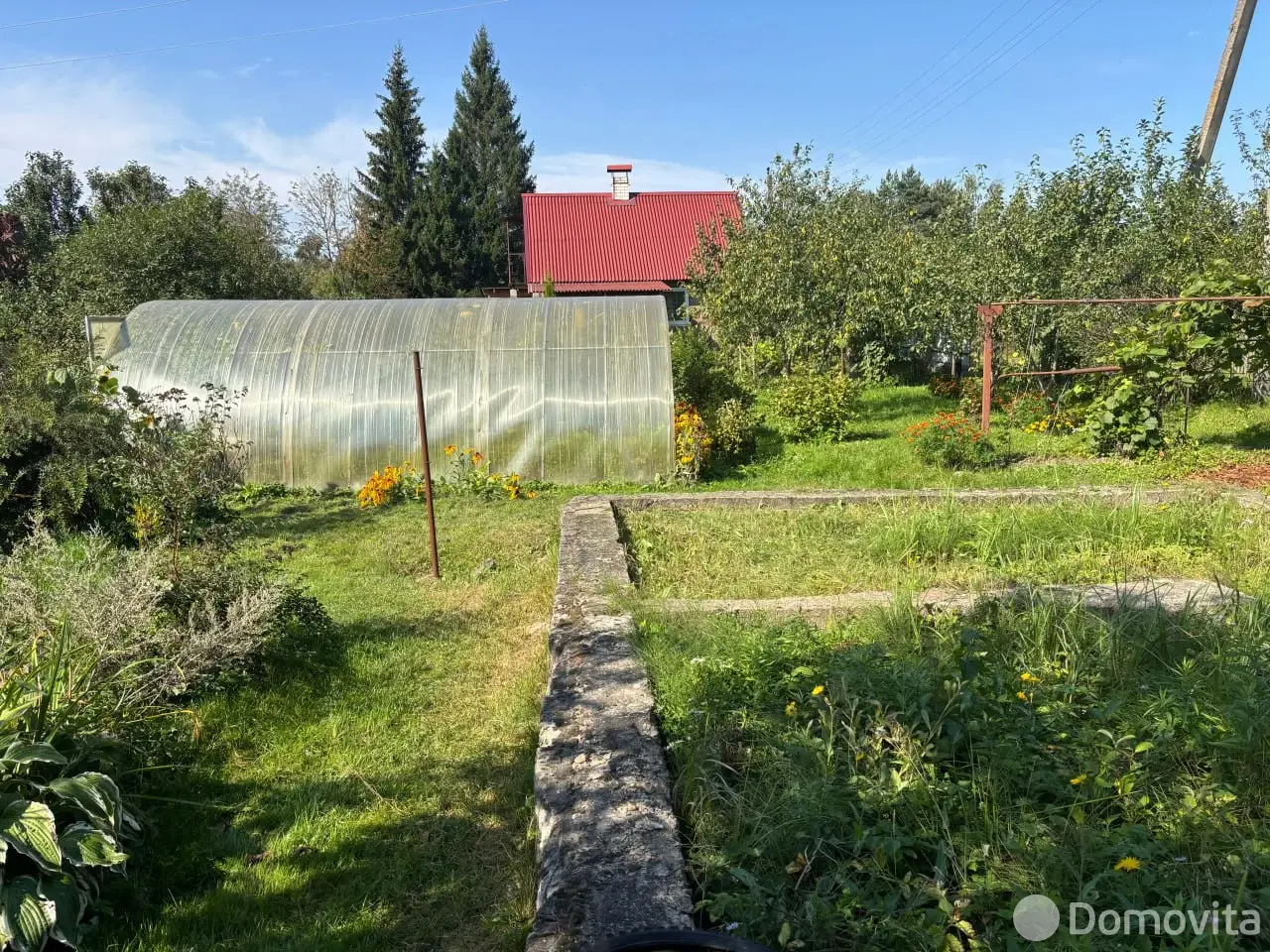 дача, Голубика,