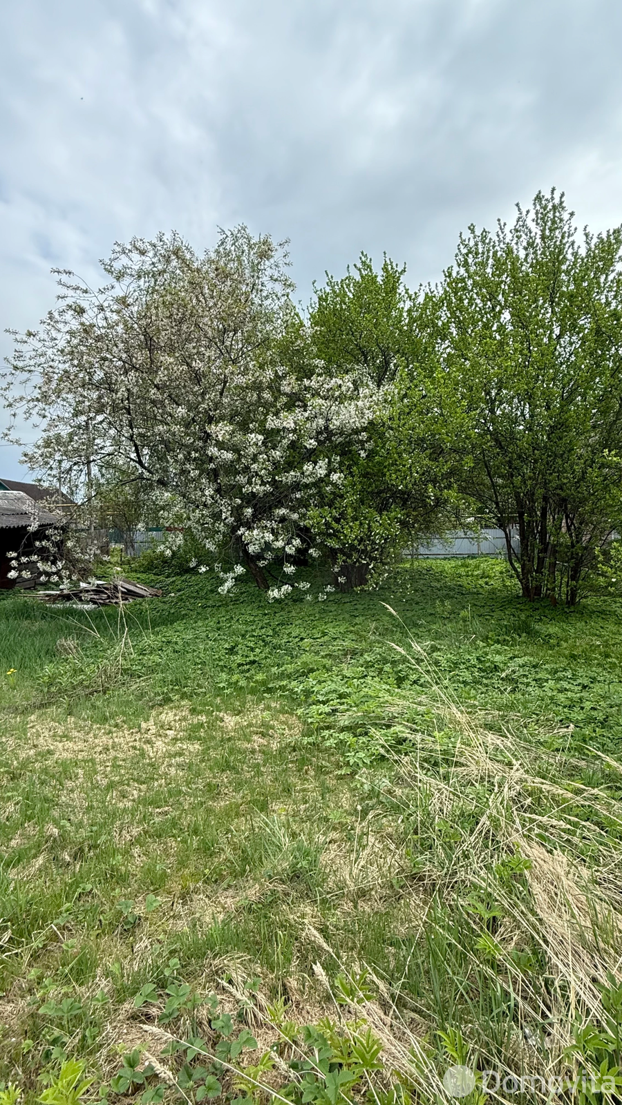 дом, Буда-Кошелево, ул. Ломоносова М.В., д. 40
