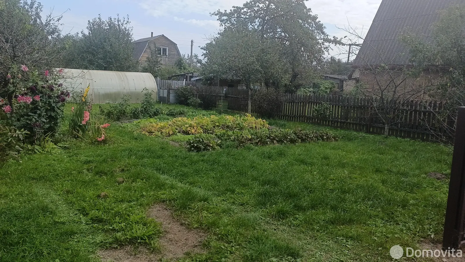 дача, Елочка, д. 53