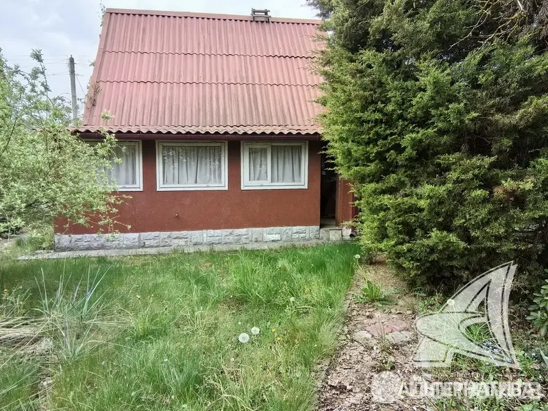 дача, Суница-80, 