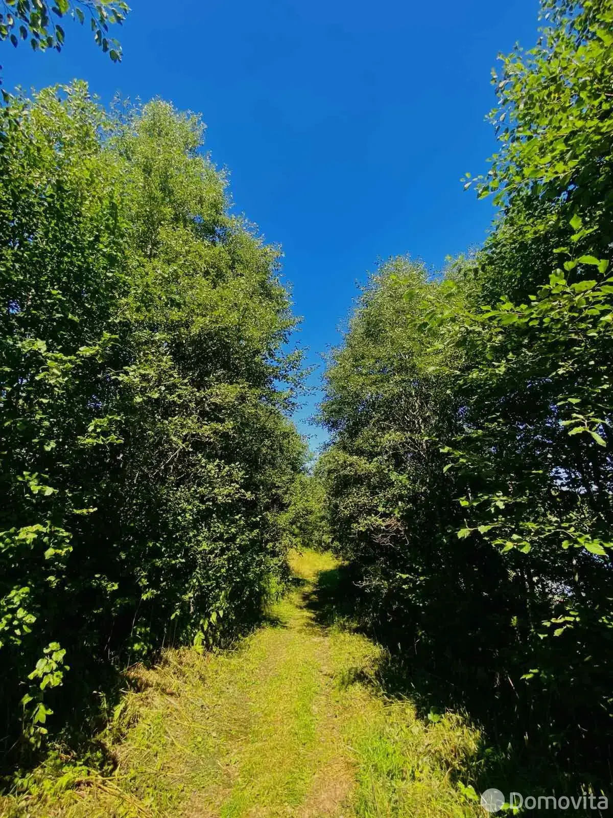 Купить помещение под сферу услуг в Костяново, ул. Дачная - фото 22