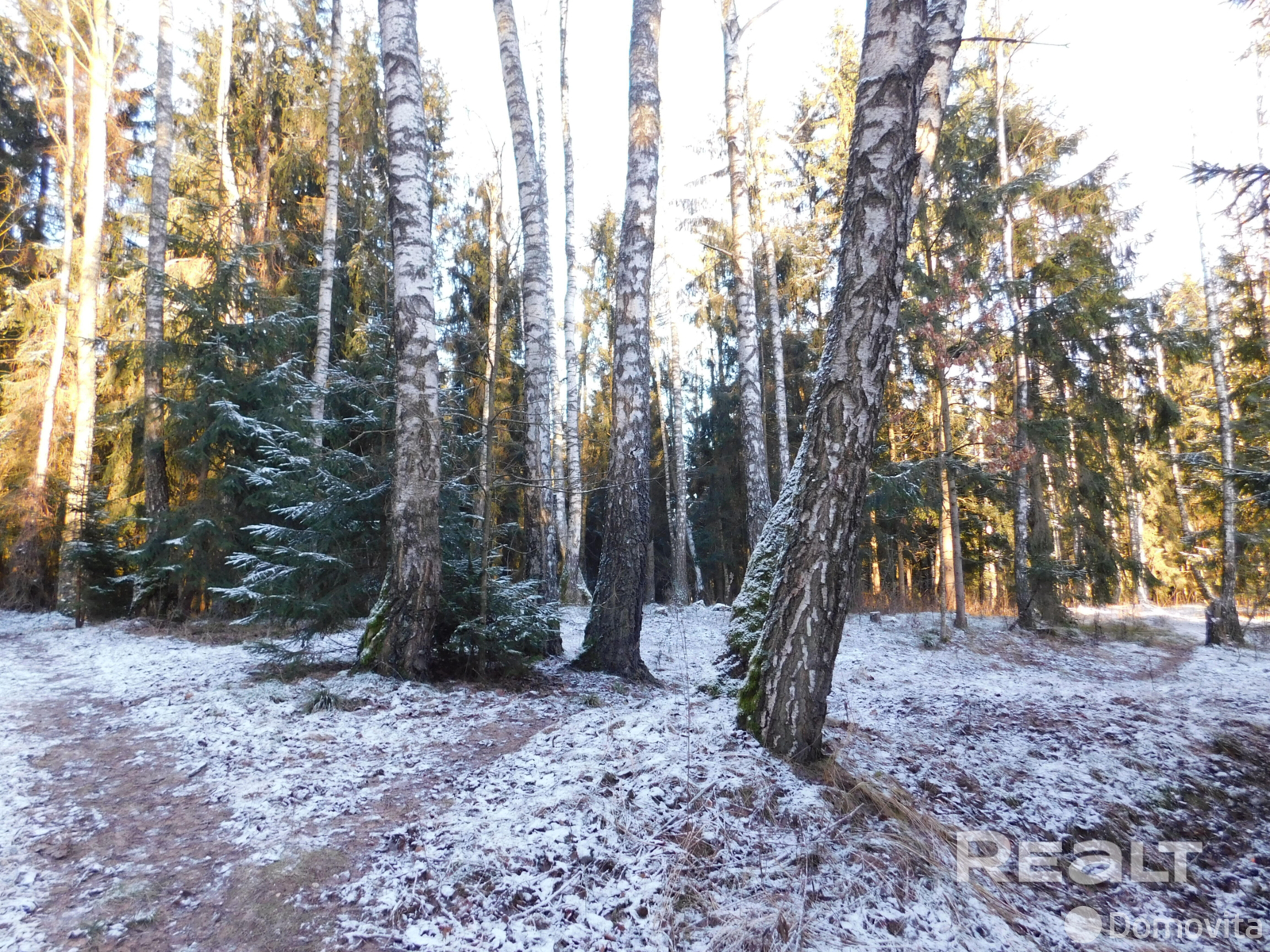 купить офис, Задомля, 