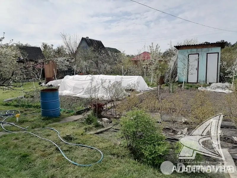 Купить 2-этажную дачу в Балагое Брестская область, 20000USD, код 162025 - фото 15