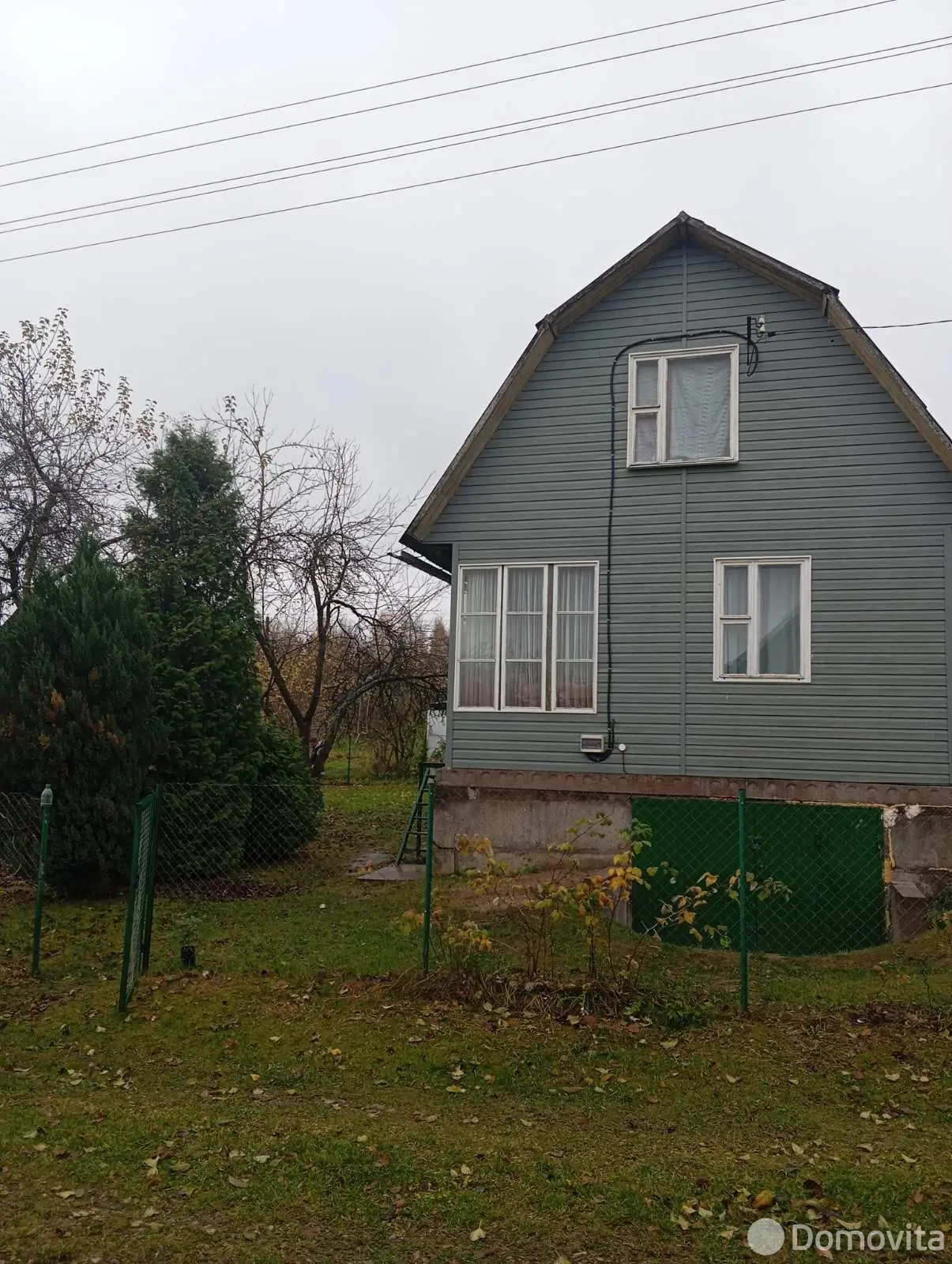 дача, Тюльпан, 