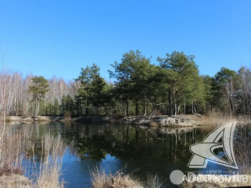 Купить 2-этажную дачу в Астра Гродненская область, 79000USD, код 168417 - фото 35