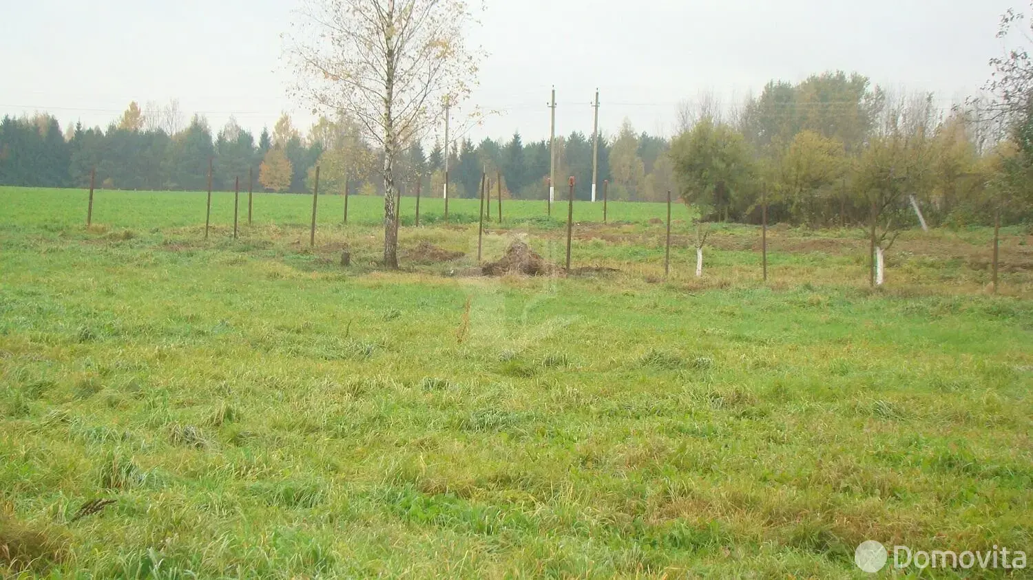 участок, Озерцо, ул. Центральная, стоимость продажи 99 991 р.