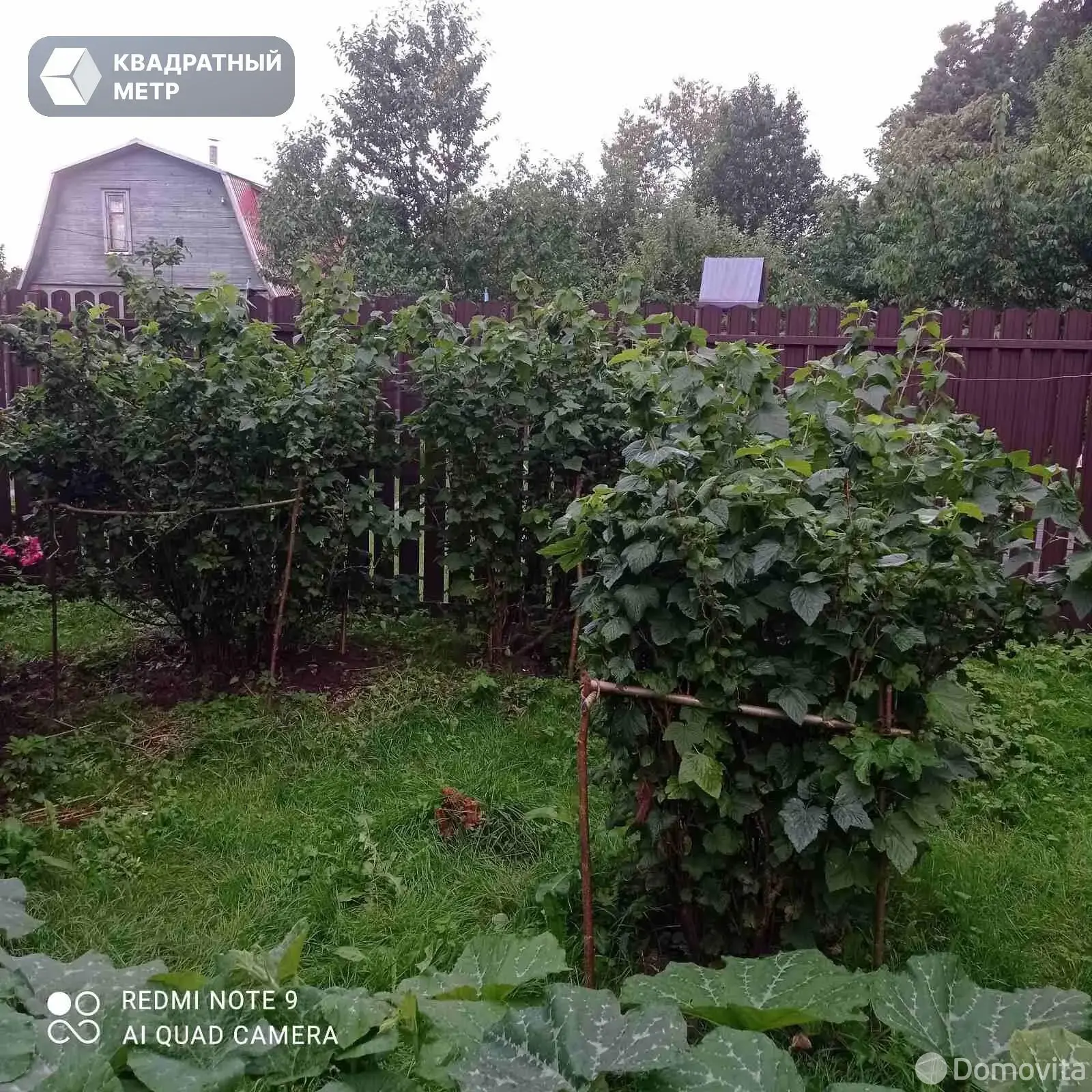 Купить 2-этажную дачу в 40 лет Октября Минская область, 39000USD, код 183719 - фото 22