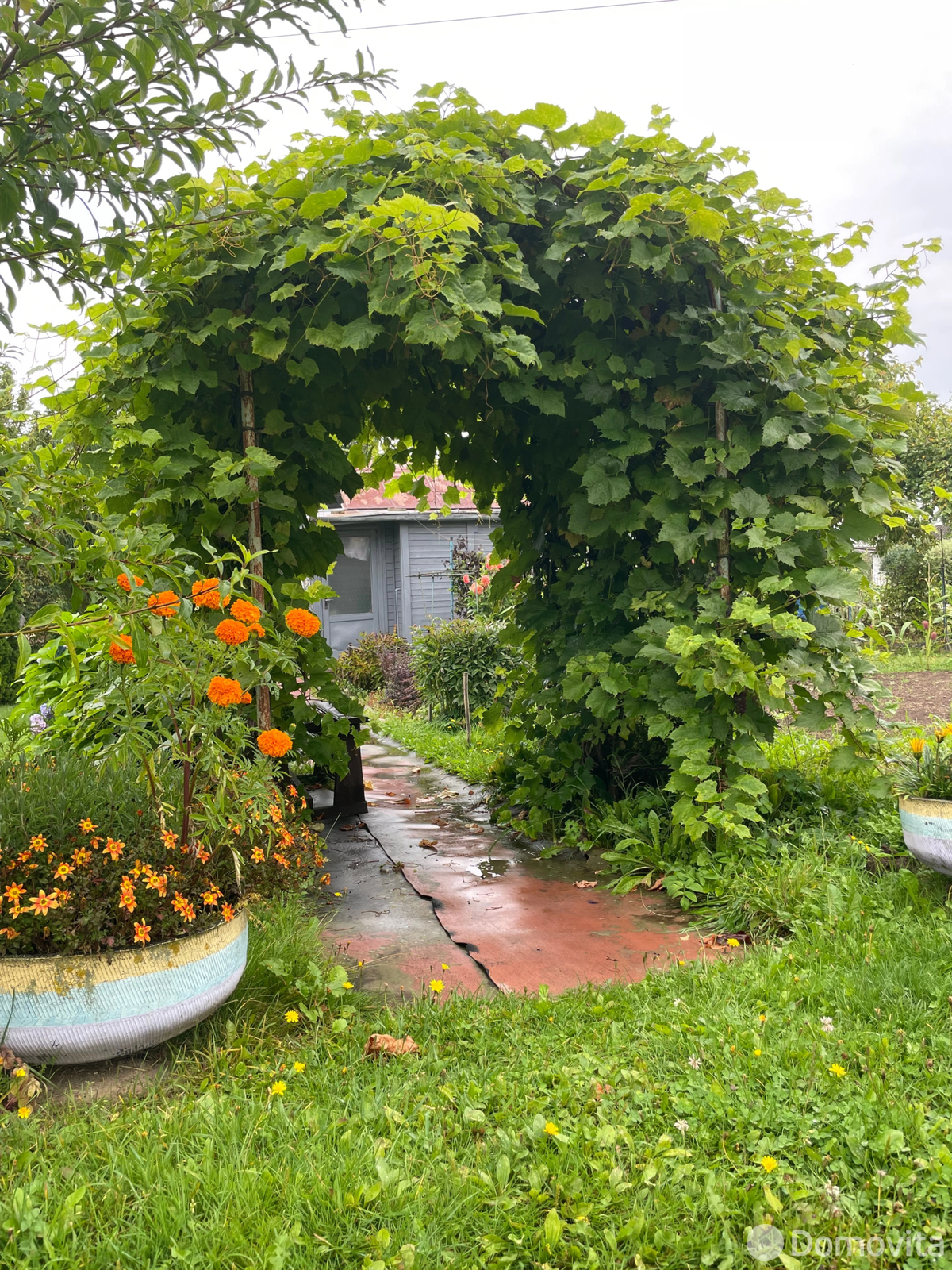 Продажа 1-этажной дачи в Колосок Минская область, 17000USD, код 184050 - фото 23