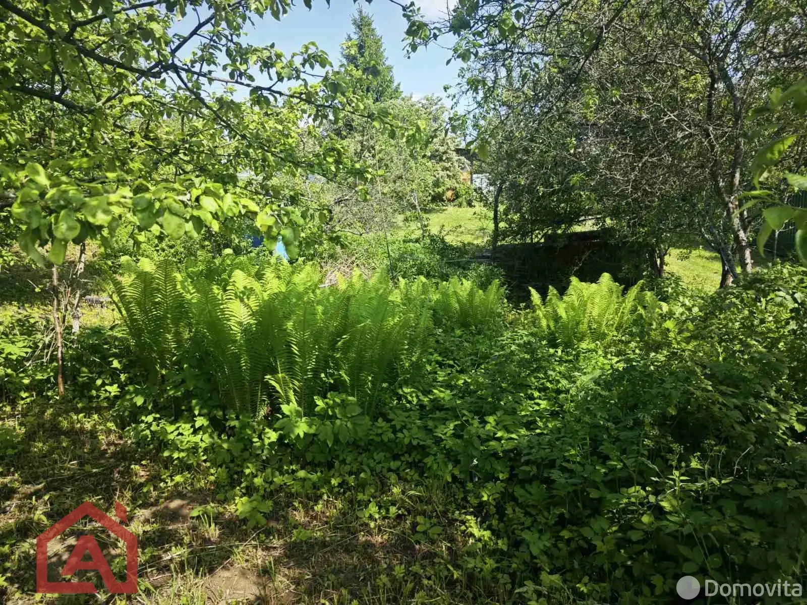 участок, Поляна, 