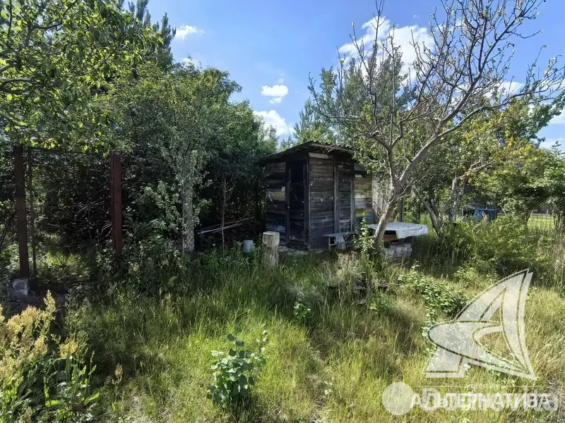 Купить 2-этажную дачу в Бресте Брестская область, 117600BYN, код 186250 - фото 37
