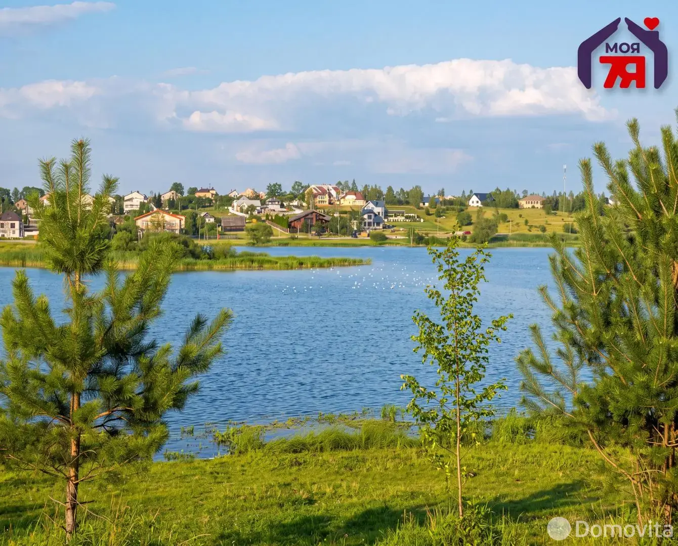Купить земельный участок, 15 соток, Анусино-2008, Минская область, 202000BYN, код 571725 - фото 23