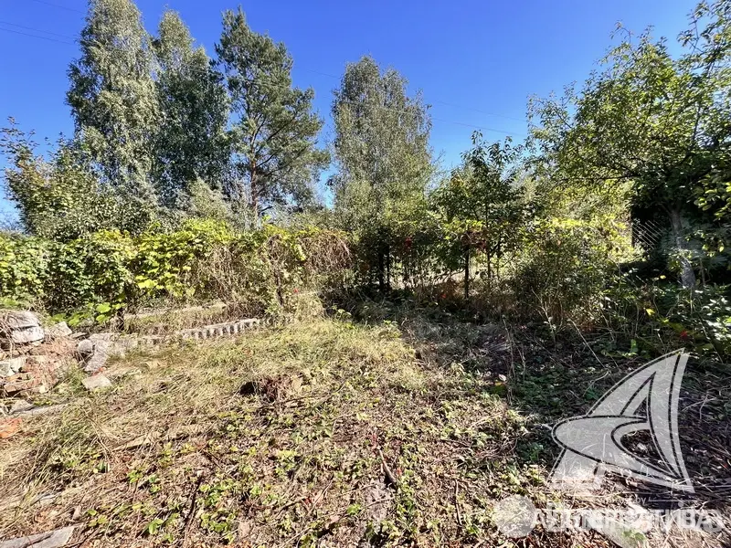 Купить 1-этажную дачу в Южное Брестская область, 22300USD, код 184188 - фото 9