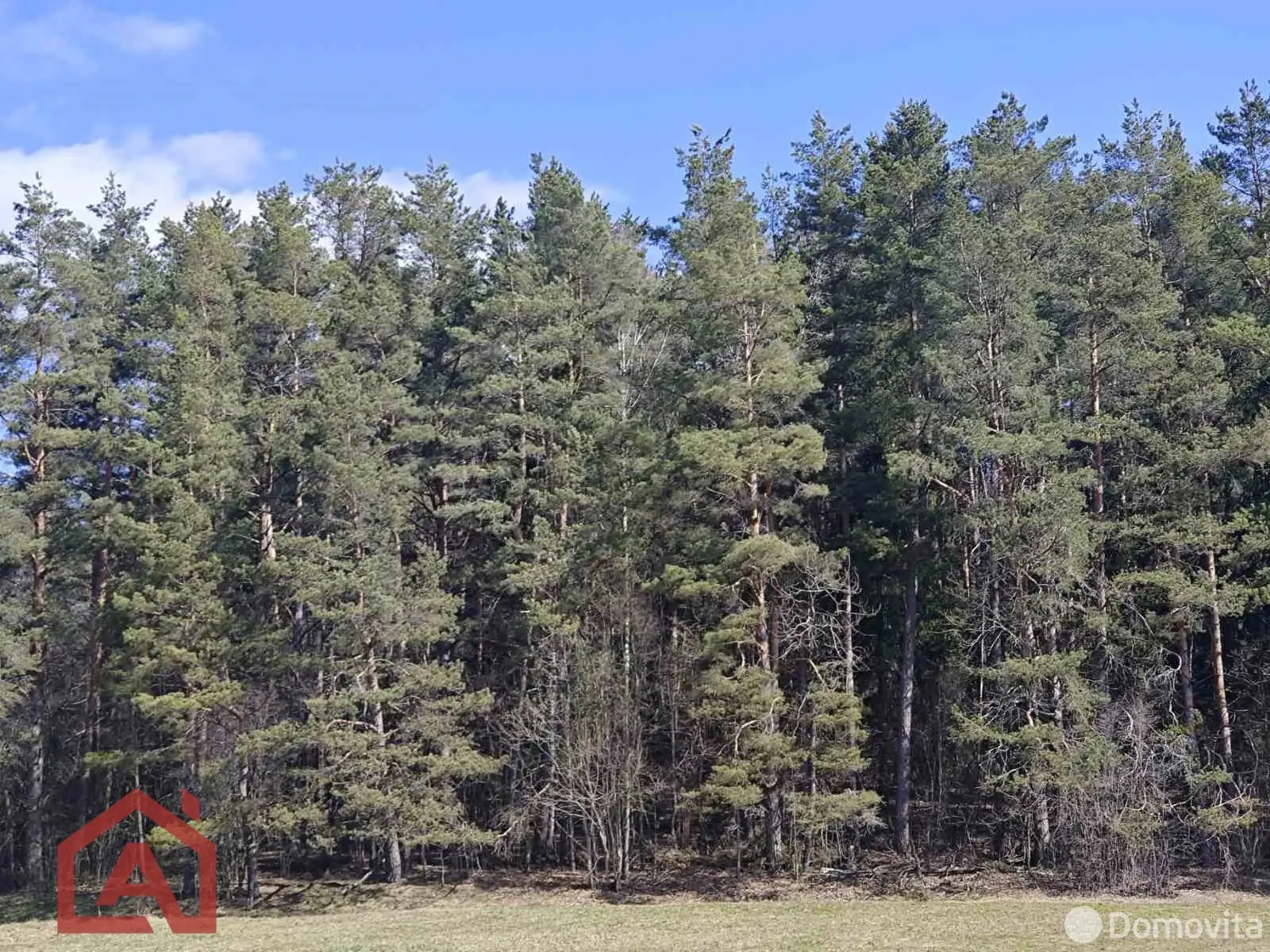 продажа участка, Вяча, ул. Лесная