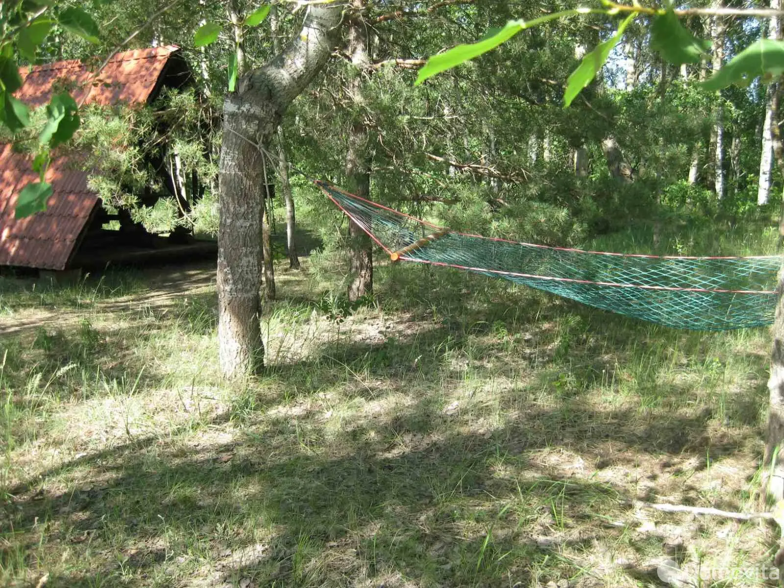 Купить помещение под сферу услуг в Щитцах, ул. Брюханова, д. 7А - фото 24