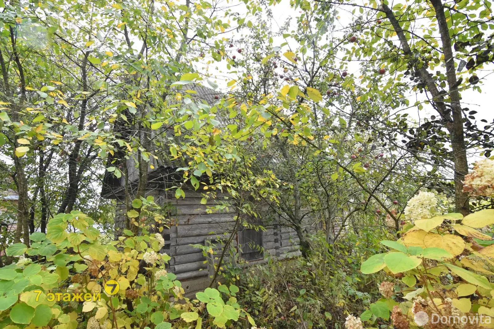 Продажа 3-этажной дачи в Колосок Минская область, 28500USD, код 180524 - фото 34