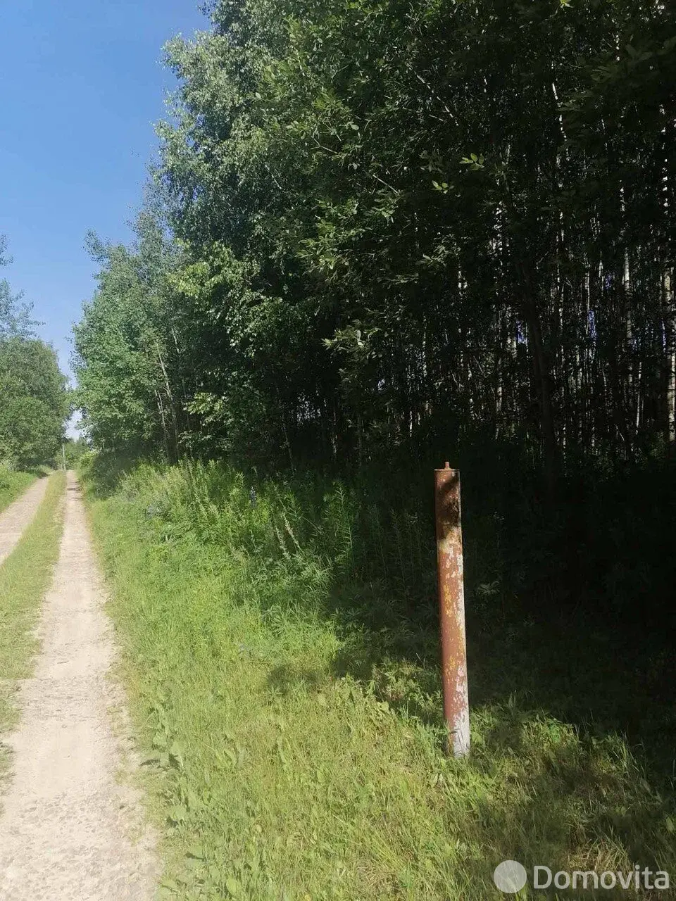 участок, Олехновичи,