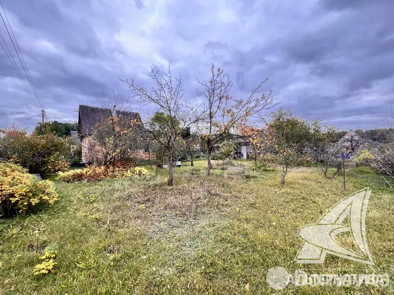 Купить земельный участок, 4.99 соток, Турист-2, Брестская область, 12500USD, код 571129 - фото 11