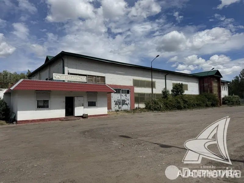 объект сферы услуг, Борисово, 