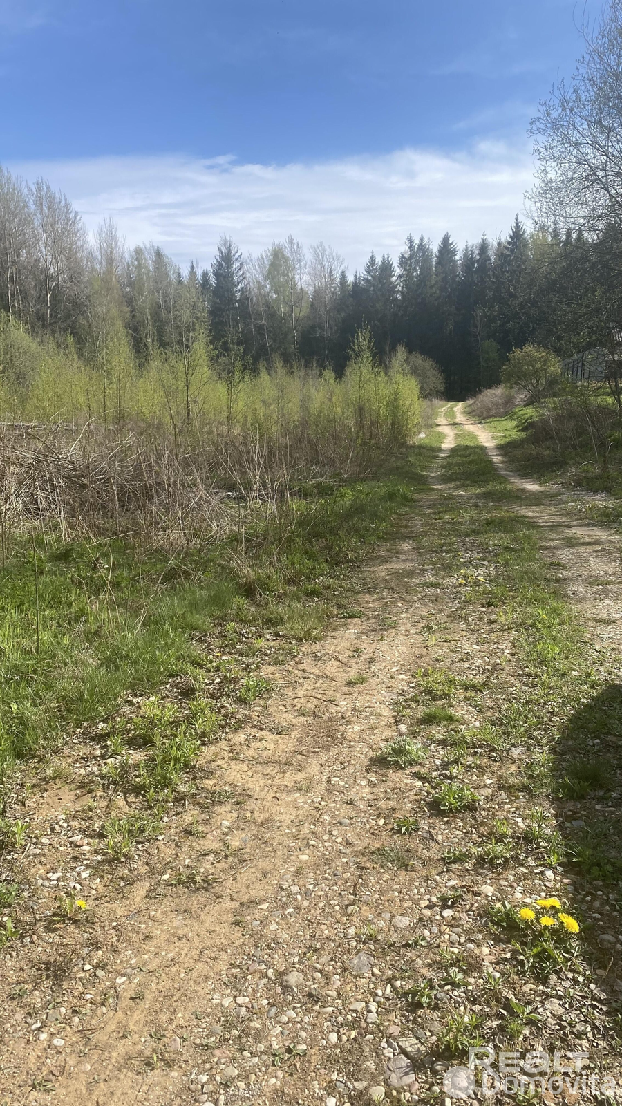 участок, Рябиновка,