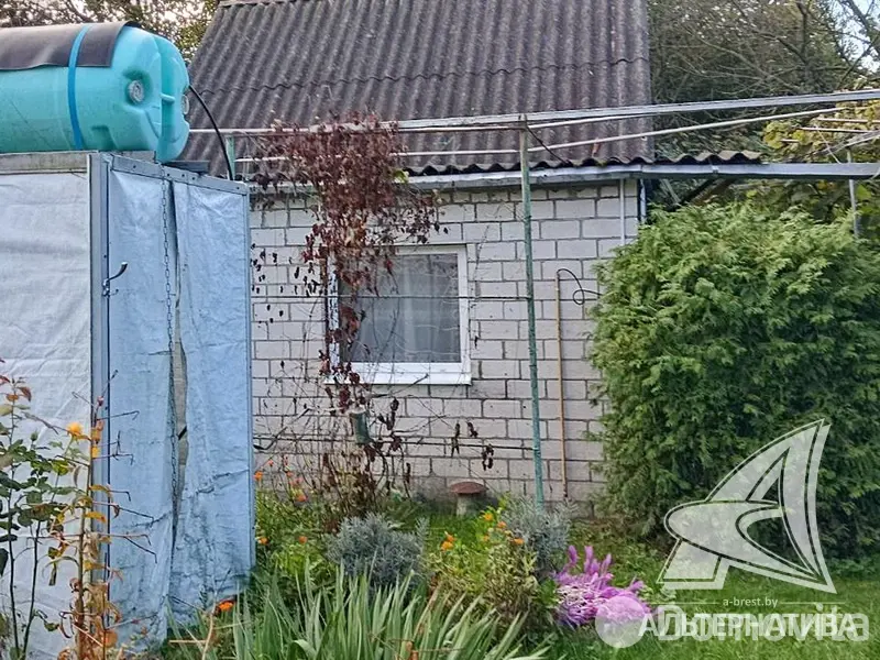 Купить 1-этажную дачу в Тепличка Брестская область, 10500USD, код 184261 - фото 3