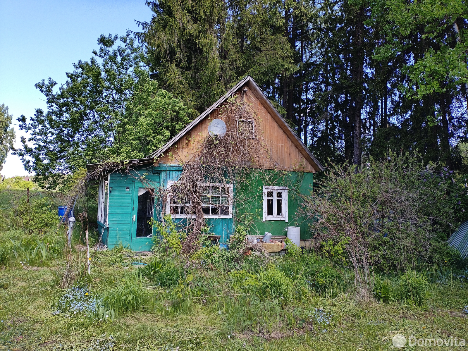 купить дачу, Веселый турист, 