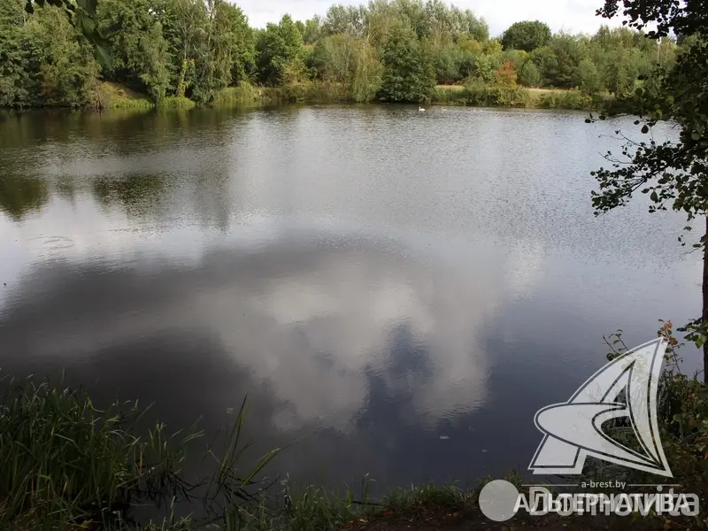 Купить земельный участок, 25 соток, Бульково, Брестская область, 359000BYN, код 572575 - фото 17