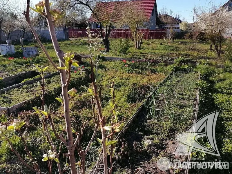 участок, Прибрежное-1, 