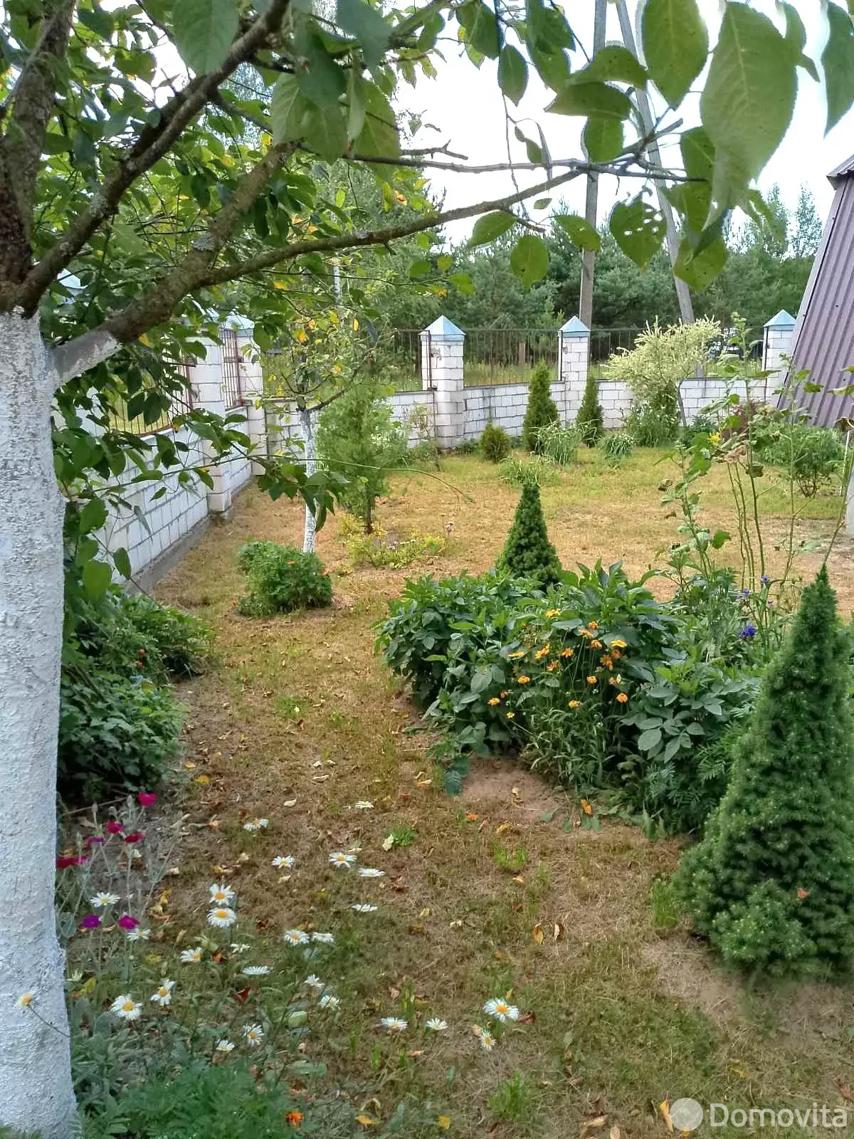 купить дачу, Борщевка, 