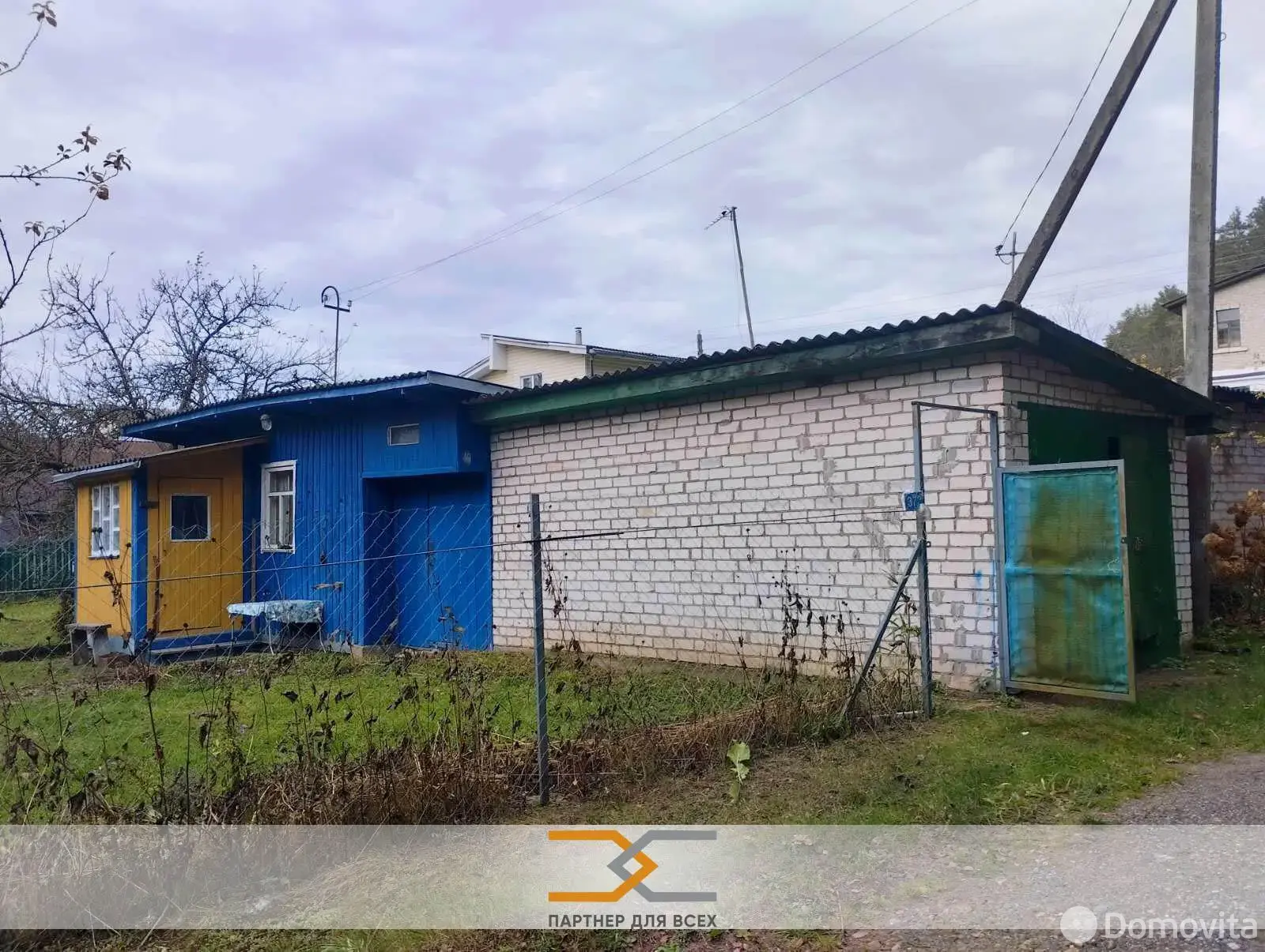 дача, Ромашка Соломореченская,