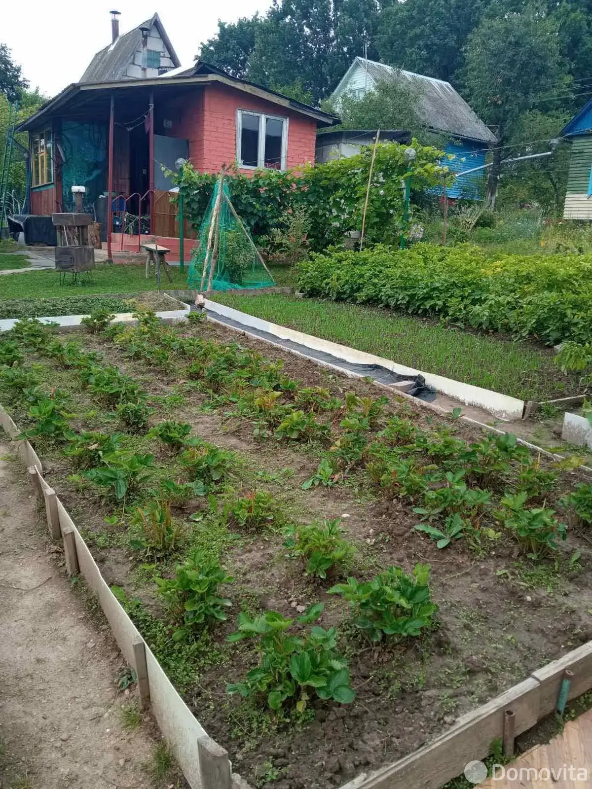 Купить 2-этажную дачу в Чистые пруды Минская область, 17000USD, код 183908 - фото 16