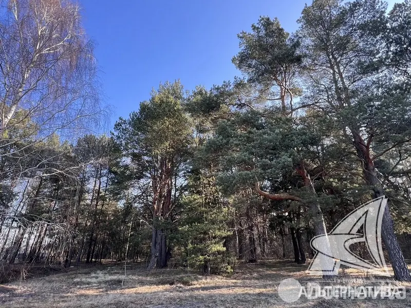 Купить земельный участок, 13.11 соток, Брест, Брестская область, 44500USD, код 571577 - фото 26